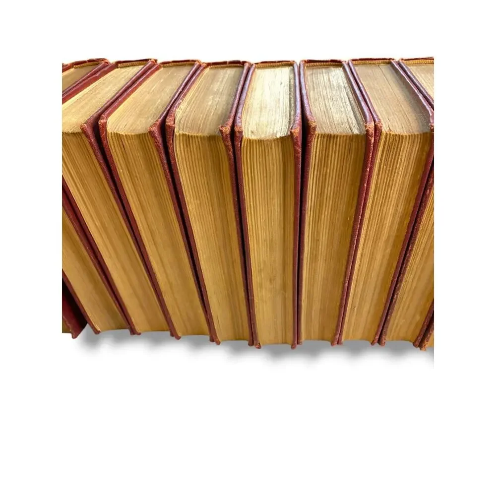 The Junior Classics A Library for Boys and Girls Lot of 10 Volumes 1918 Collier